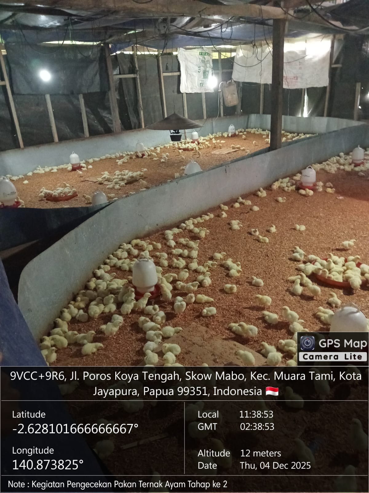 Kegiatan Pengadaan Bibit Ternak yang Sumbernya dari Daerah Kab/Kota Lain